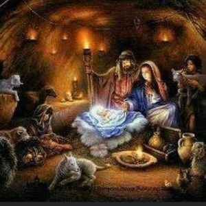 Meet your Posher, Deborah